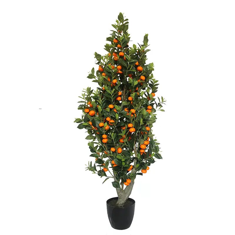 Orange Tree 180cm