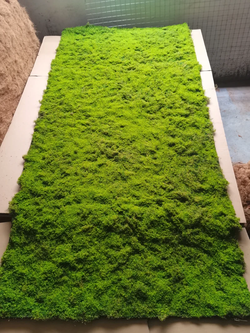 Moss Carpet - Image 7