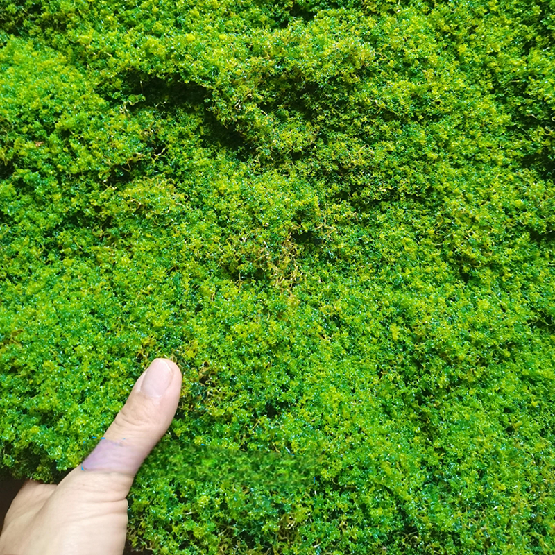 Moss Carpet